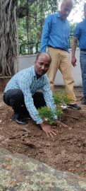 Plantation Program during Swachhta Pakhwada- 2022